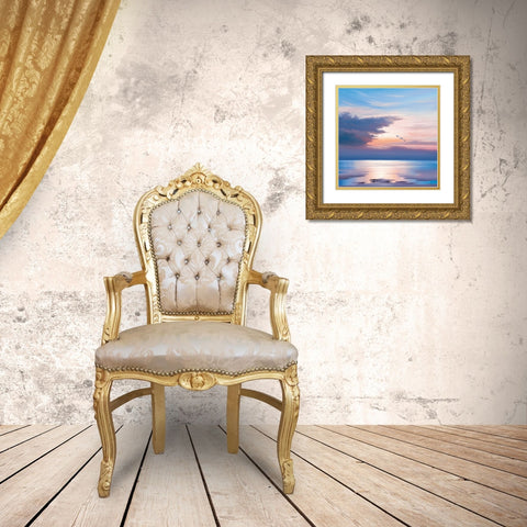 Sunset Flight Gold Ornate Wood Framed Art Print with Double Matting by Sim, John F