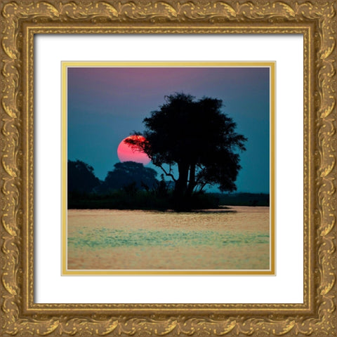 River of Tranquility Gold Ornate Wood Framed Art Print with Double Matting by Brommelhorster, Ulf