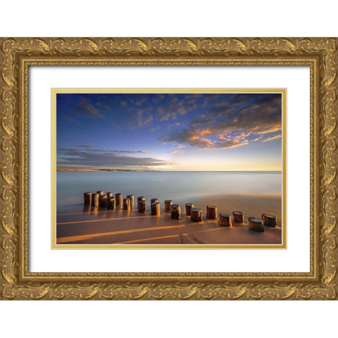Diagonale Gold Ornate Wood Framed Art Print with Double Matting by Bertrande, Arnaud