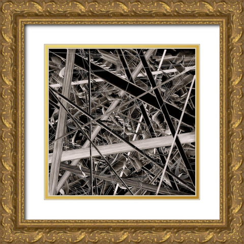 BW 221013 Gold Ornate Wood Framed Art Print with Double Matting by NADAL