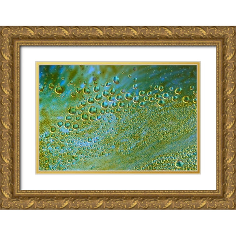 The Green Hornets Gold Ornate Wood Framed Art Print with Double Matting by NUPHO
