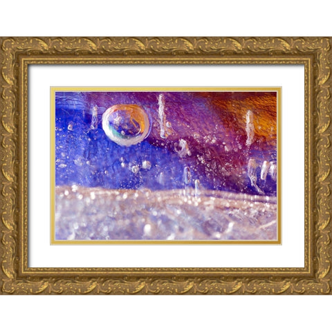 The Circled Ice Gold Ornate Wood Framed Art Print with Double Matting by NUPHO