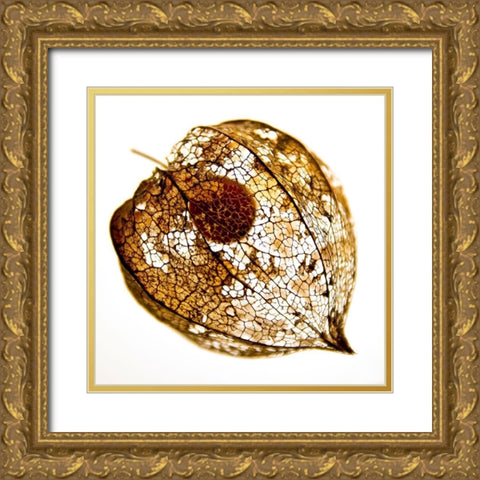 Evanescence IV Gold Ornate Wood Framed Art Print with Double Matting by Weber, Matthias