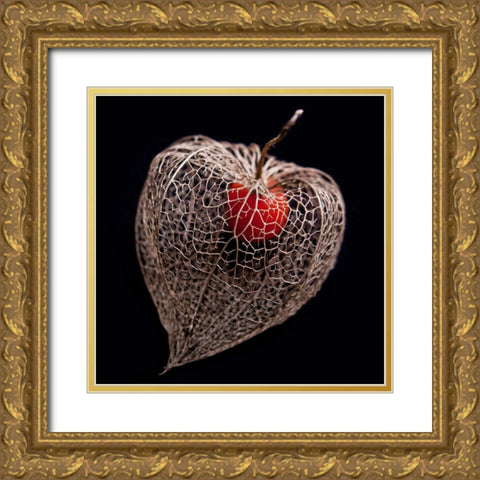 Lantern Heart I Gold Ornate Wood Framed Art Print with Double Matting by Weber, Matthias