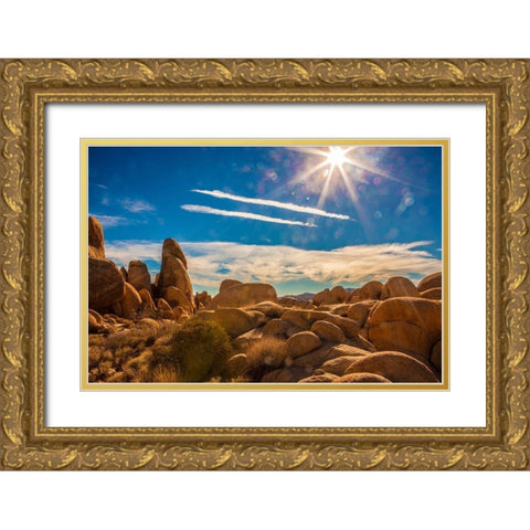 Yellow Rocks Gold Ornate Wood Framed Art Print with Double Matting by Lichtenwalter, Tom