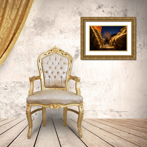 Way to the Stars Gold Ornate Wood Framed Art Print with Double Matting by Lichtenwalter, Tom