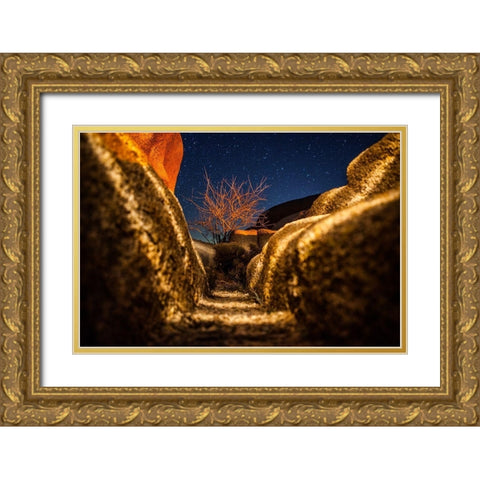 Way to the Stars Gold Ornate Wood Framed Art Print with Double Matting by Lichtenwalter, Tom