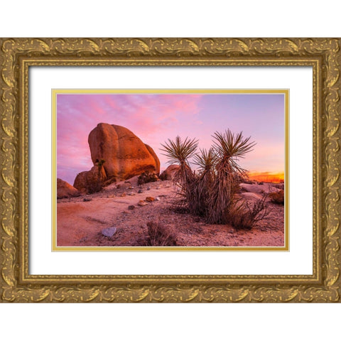 Stoneway Gold Ornate Wood Framed Art Print with Double Matting by Lichtenwalter, Tom