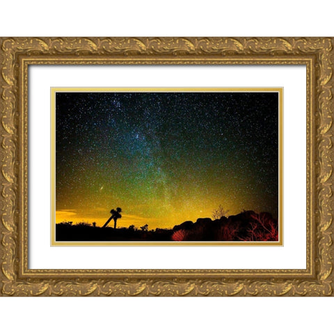 Universe Gold Ornate Wood Framed Art Print with Double Matting by Lichtenwalter, Tom