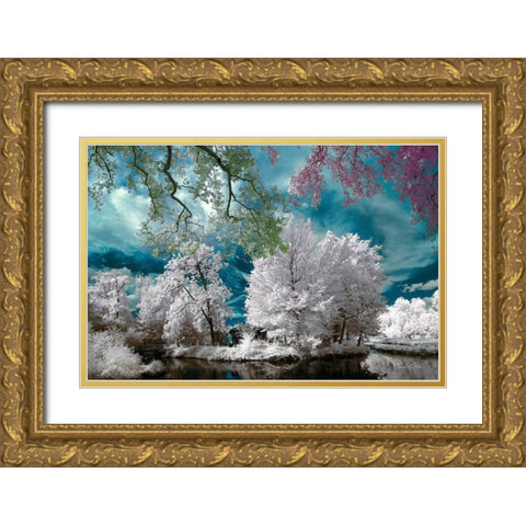 Cayac,Gradignan - Infrared Photography  Gold Ornate Wood Framed Art Print with Double Matting by Gee, Tonee