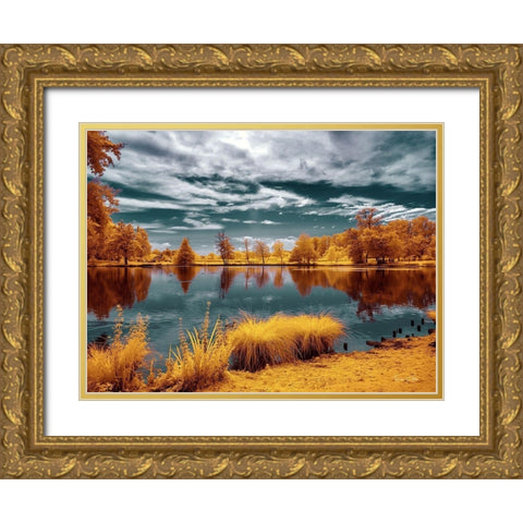 Majolan s Park Reflections II-Bordeaux - Infrared and UV Photography  Gold Ornate Wood Framed Art Print with Double Matting by Gee, Tonee