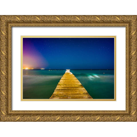 Oceanfront Gold Ornate Wood Framed Art Print with Double Matting by Lichtenwalter, Tom