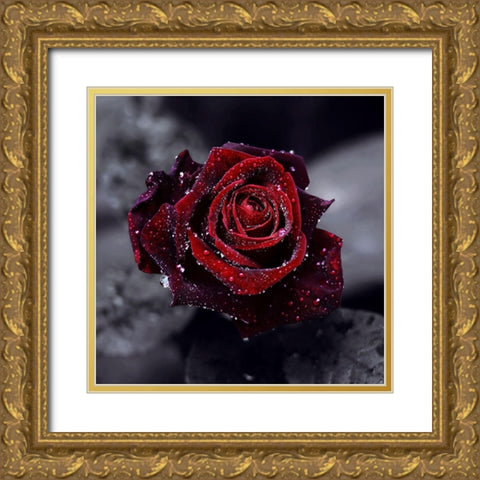 Luxury Gold Ornate Wood Framed Art Print with Double Matting by Seidel, Lily Andrea