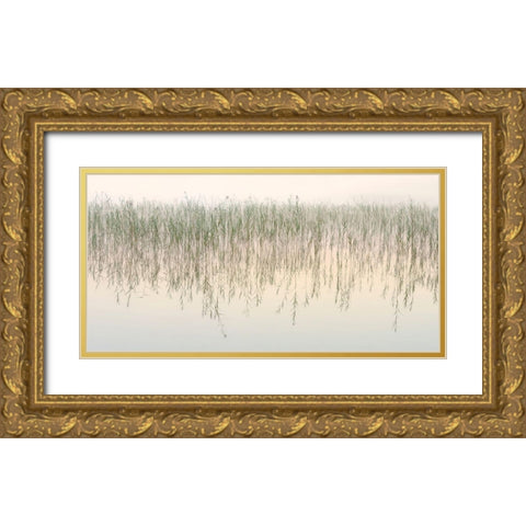 Timeless Gold Ornate Wood Framed Art Print with Double Matting by Steger, Uwe