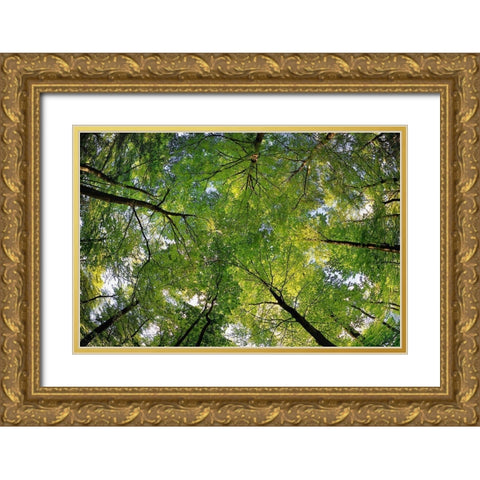 La vie en haute Gold Ornate Wood Framed Art Print with Double Matting by Steger, Uwe