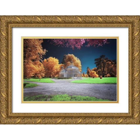 Gradignan-Glasshouse I Gold Ornate Wood Framed Art Print with Double Matting by Gee, Tonee