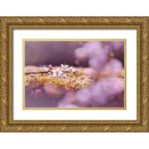 Aurore Gold Ornate Wood Framed Art Print with Double Matting by Strohmenger, Gaelle