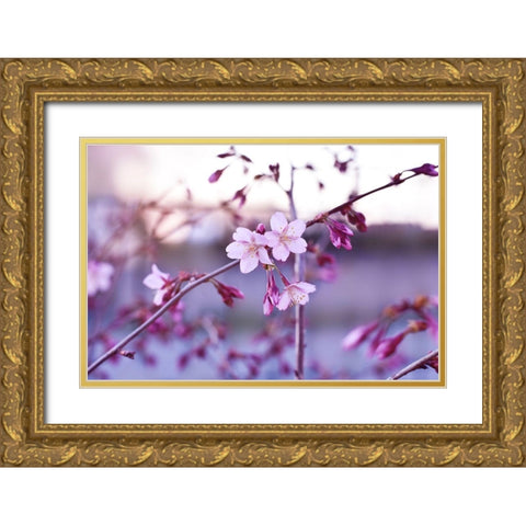 Crepuscule Gold Ornate Wood Framed Art Print with Double Matting by Strohmenger, Gaelle