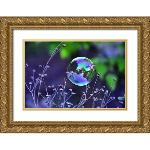 Traumfanger Gold Ornate Wood Framed Art Print with Double Matting by Strohmenger, Gaelle