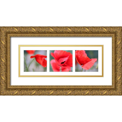 Mohn Gold Ornate Wood Framed Art Print with Double Matting by MIRA