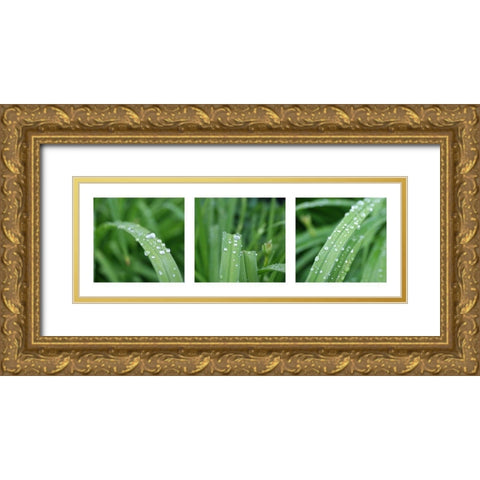 Raindrops Gold Ornate Wood Framed Art Print with Double Matting by MIRA