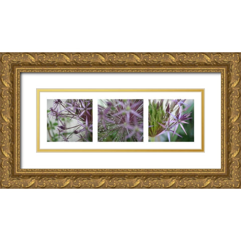 Allium I Gold Ornate Wood Framed Art Print with Double Matting by MIRA