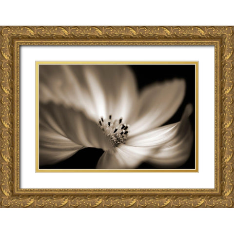 Die Tanzerin Gold Ornate Wood Framed Art Print with Double Matting by Steger, Uwe
