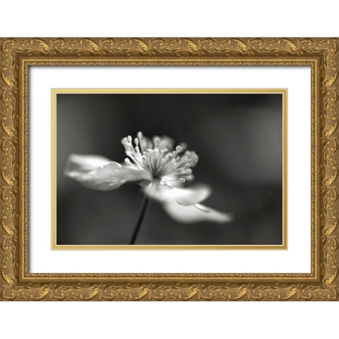 Stars III Gold Ornate Wood Framed Art Print with Double Matting by Steger, Uwe