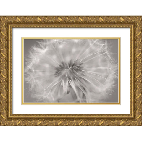 Gentle Touch II Gold Ornate Wood Framed Art Print with Double Matting by Steger, Uwe