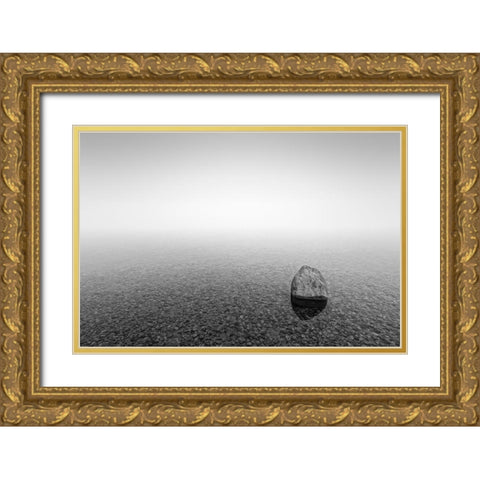 Stone Gold Ornate Wood Framed Art Print with Double Matting by Steger, Uwe