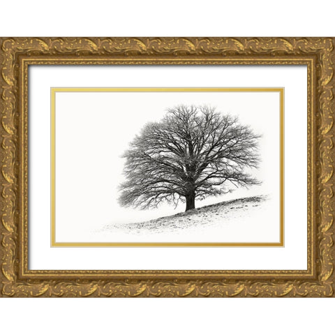 Solitar I Gold Ornate Wood Framed Art Print with Double Matting by Steger, Uwe