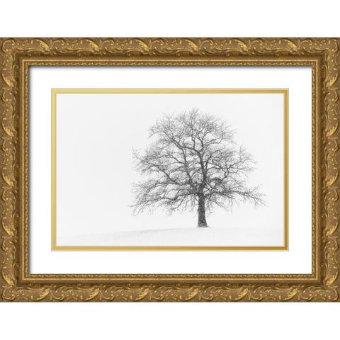 Wintersturm I Gold Ornate Wood Framed Art Print with Double Matting by Steger, Uwe