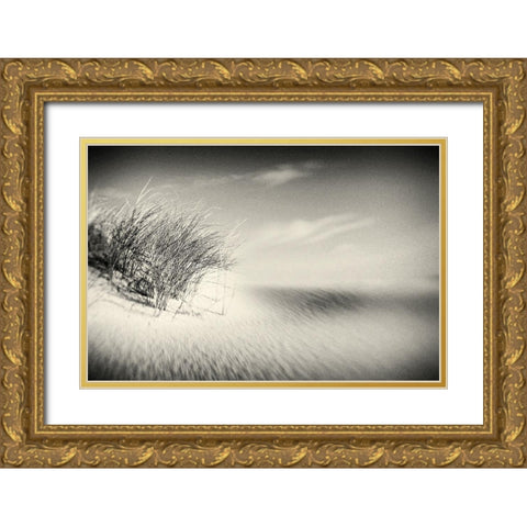 Dunes Gold Ornate Wood Framed Art Print with Double Matting by Steger, Uwe
