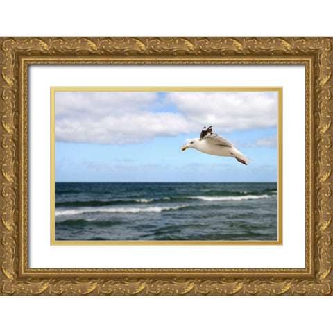 Lonely Bird Gold Ornate Wood Framed Art Print with Double Matting by Steger, Uwe