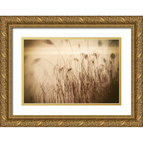Traumzeit I Gold Ornate Wood Framed Art Print with Double Matting by Steger, Uwe