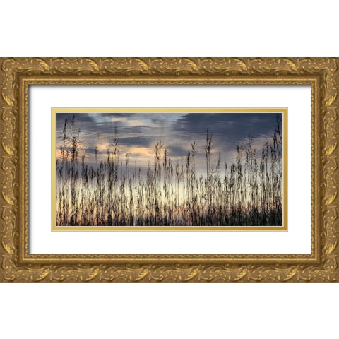 Reed Part II Gold Ornate Wood Framed Art Print with Double Matting by Steger, Uwe