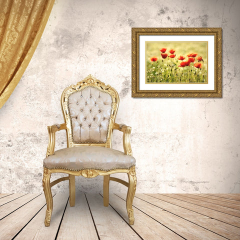 Some Poppy Part I Gold Ornate Wood Framed Art Print with Double Matting by Steger, Uwe