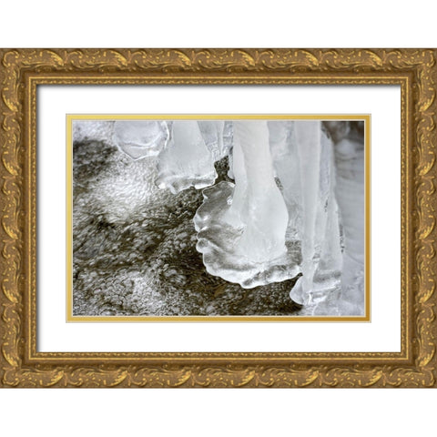 Ice Gold Ornate Wood Framed Art Print with Double Matting by Steger, Uwe