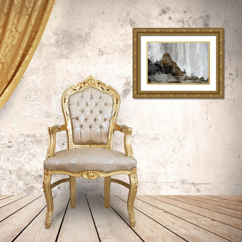 Frozen Gold Ornate Wood Framed Art Print with Double Matting by Steger, Uwe