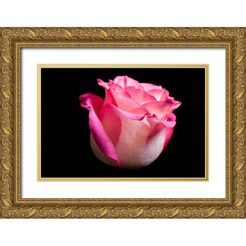 Rose I Gold Ornate Wood Framed Art Print with Double Matting by Brosius, Volker