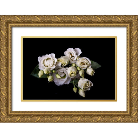 Rosen in weiss Gold Ornate Wood Framed Art Print with Double Matting by Brosius, Volker