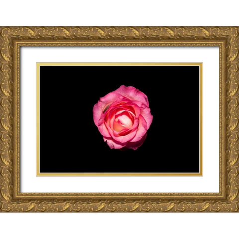 Rose III Gold Ornate Wood Framed Art Print with Double Matting by Brosius, Volker