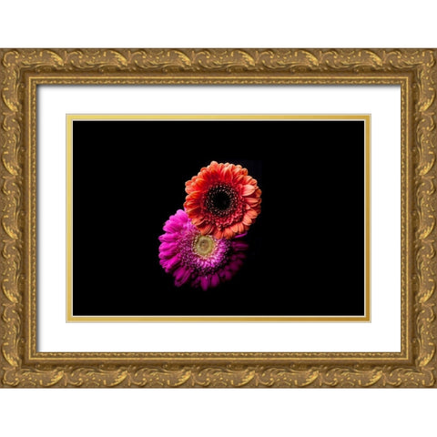 Gerbera Duo Gold Ornate Wood Framed Art Print with Double Matting by Brosius, Volker