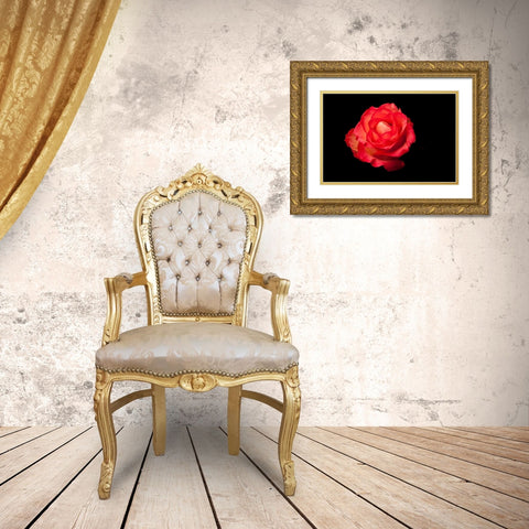 Rose rot Gold Ornate Wood Framed Art Print with Double Matting by Brosius, Volker