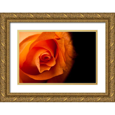 Rose gelb I Gold Ornate Wood Framed Art Print with Double Matting by Brosius, Volker