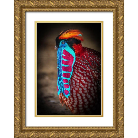 Tropical Bird Gold Ornate Wood Framed Art Print with Double Matting by Ronin