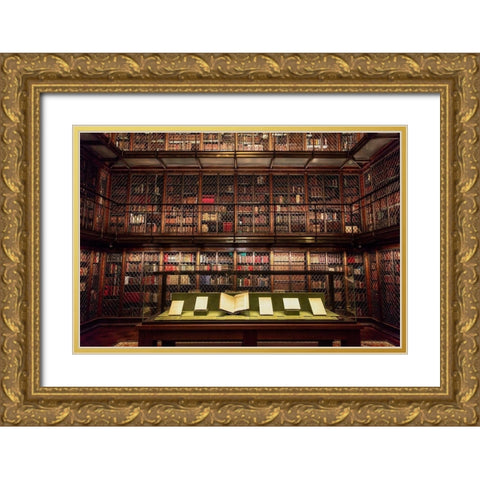 Library Room Gold Ornate Wood Framed Art Print with Double Matting by Ronin