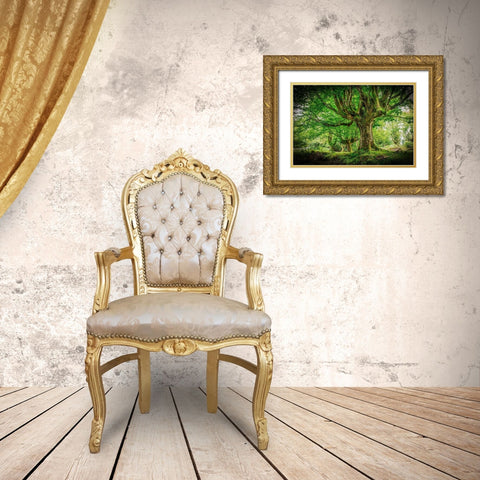 Otzarreta Forest I Gold Ornate Wood Framed Art Print with Double Matting by Ronin