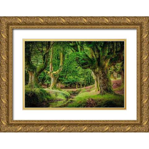 Otzarreta Forest II Gold Ornate Wood Framed Art Print with Double Matting by Ronin