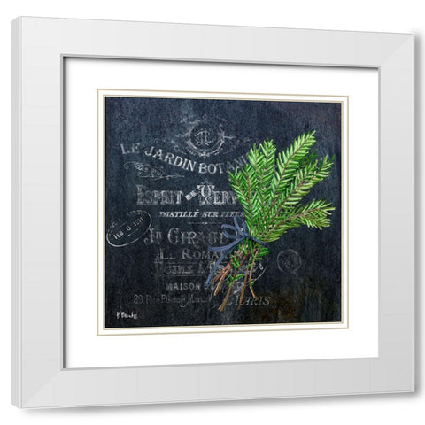 Provincial Herbs IV White Modern Wood Framed Art Print with Double Matting by Brent, Paul